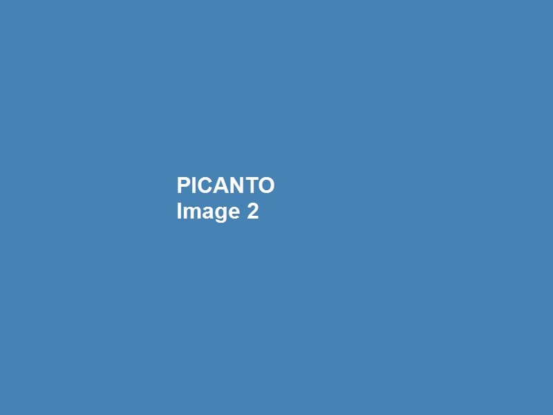 2018 Kia Picanto 1.2L EX (AT) image 2